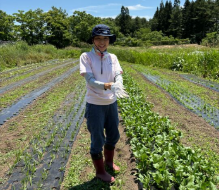 趣味：自然栽培の紹介